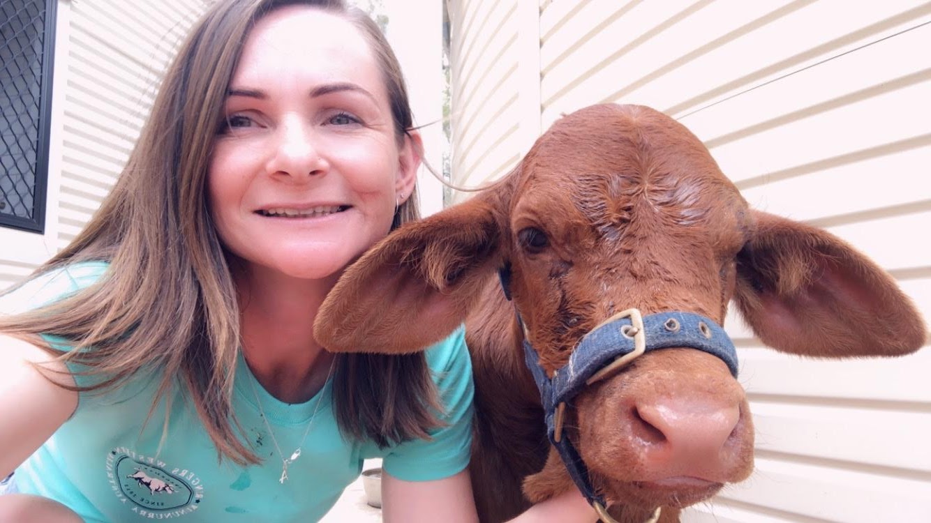 Amanda Pearce photo with calf Our Team at Nanango Country Vet - Amanda with Lizard