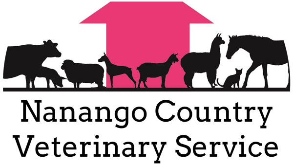 Nanango Country Veterinary Service