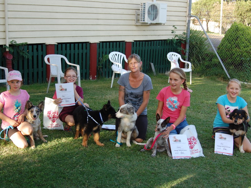 Nanango Country Vet - Puppy Pre School