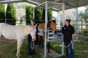 Yard Facilities